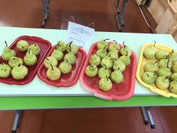 Витаминизация 19.12.2025г