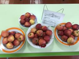 Витаминизация 18.12.2025г